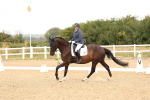 SBM_000776