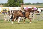 SBM_09639