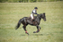BVHT 140517  IXC -1