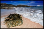 The Leithies - East Lothian
