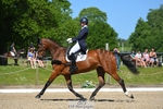 Rider 460 to 469 portfolio