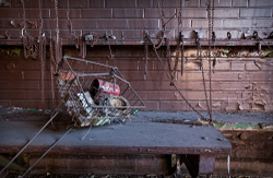 Lackawanna Steel (Lackawanna, NY) | Birds Nest in a Basket