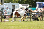 SBM_04300