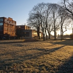 Long Shadows
