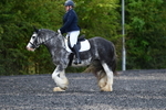 WJ5_9109