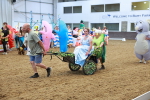 SBM_007986