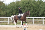 SBM_003617