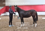 BPP_1538