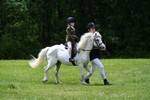 WJ7_3412