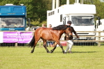 SBM_00613