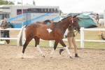 SBM_02069