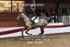BPP_9289