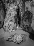 04-Mewslade
