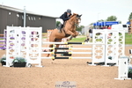 Saturday 27th - Click to View portfolio