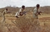 Ogaden War