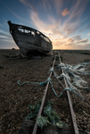 Dungeness