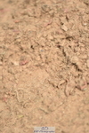 230621A-114350-00204