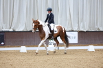 SBM_001520