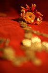 Flowers Set 09 - 07