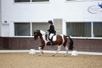 SBM_001623