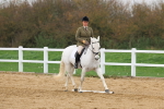 SBM_007813