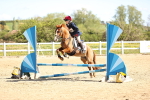 SBM_000797