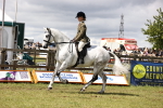 SBM_14555
