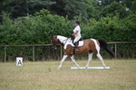 WJ6_9856
