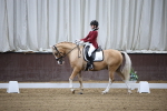 SBM_005331