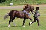 SIAL6348