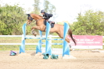 SBM_004307