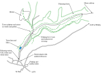 Pickering Town and Forest Walk