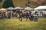 DSCF7130