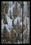Efflorescence
