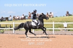 BPP_1657