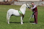 SIAL8424