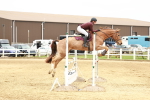 SBM_000737