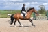 BPP_2659