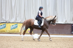 SBM_006277