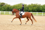 SBM_006781