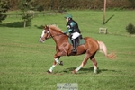 499-GORFELYN.PETER.THE.GREAT-Charlotte.Bellamy-SC+XC portfolio