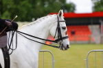 SBM_02695
