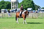 SBM_11665