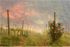 The Vine Grove