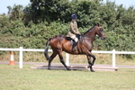 JPP_1169