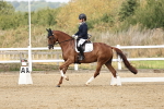 SBM_018240
