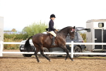 SBM_00260