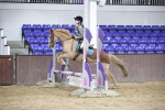 SBM_001452