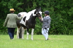 WJ7_4156