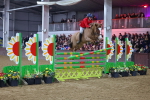 SBM_006659